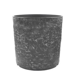 Aؔ  CARNAC/I[W[vc|bg02|BK ubN/FC043BKy01z K[fjOE|pi t[|bg 