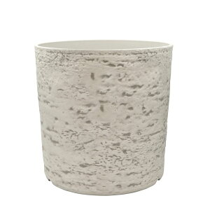 Aؔ  CARNAC/I[W[vc|bg02|IV AC{[/FC043IVy01z K[fjOE|pi t[|bg 