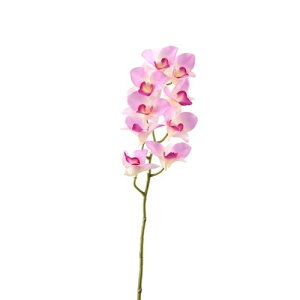 yԁzroH|/VD-4012 ft@ LT/PI/VD-4012y01z ԁiA[eBtBVt[j  ԍށusv R`EiӒj