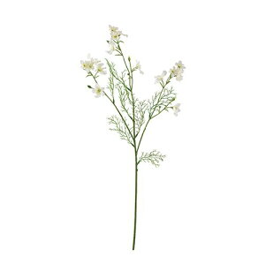 yԁzroH|/VE-4070 ftBjE CR/VE-4070y01z ԁiA[eBtBVt[j  ԍށusv ftBj[