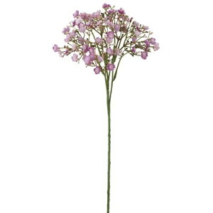 yԁzroH|/VE-4165 Wv\tBXv[ LA/VE-4165y01z ԁiA[eBtBVt[j  ԍށusv ݑ