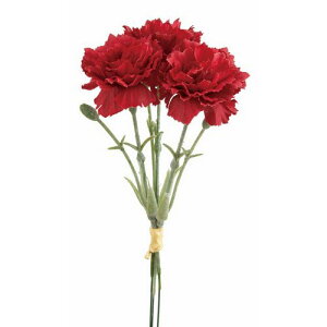 yԁzroH|/VE-4187 J[l[V RE/VE-4187y01z ԁiA[eBtBVt[j  ԍށusv J[l[V