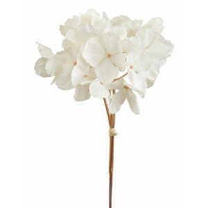 yԁzroH|/VE-4199 nChWA CR/VE-4199y01z ԁiA[eBtBVt[j  ԍށusv izԁj