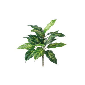 yԁzroH|/VDG-5303 fBtFoMA/VDG-5303y01z ԁiA[eBtBVt[j ԗt fBtFoLA