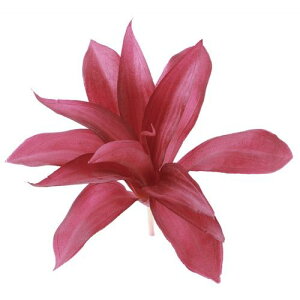 yԁzroH|/VDG-5308 GPxA PU/VDG-5308y01z ԁiA[eBtBVt[j ԗtAtFCNO[ A