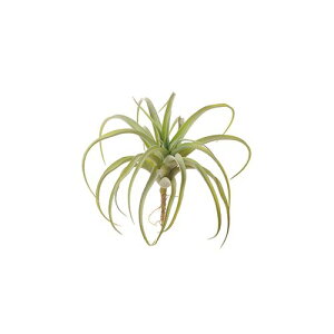 yԁzroH|/VDG-5438 eBWA M/VDG-5438y01z ԁiA[eBtBVt[j ԗtAtFCNO[ A