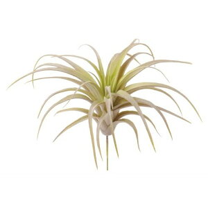 yԁzroH|/VDG-5439 eBWA S/VDG-5439y01z ԁiA[eBtBVt[j ԗtAtFCNO[ A