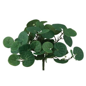 yԁzroH|/VEG-5639 yy~AubV/VEG-5639y01z ԁiA[eBtBVt[j ԗtAtFCNO[ ̑̑ԗtEtFCNO[