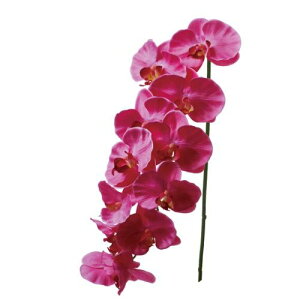 yԁzroH|/VE-6693 R`E LA/VE-6693y01z ԁiA[eBtBVt[j  ԍށusv R`EiӒj