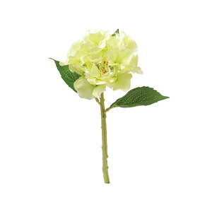 yԁzroH|/VD-6774 nChW GR/VD-6774y01z ԁiA[eBtBVt[j  ԍށusv izԁj