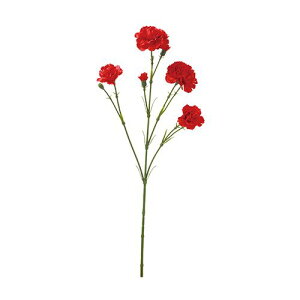 yԁzroH|/VE-6818 J[l[V RE/VE-6818y01z ԁiA[eBtBVt[j  ԍށusv J[l[V