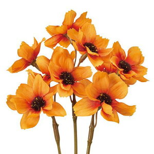 yԁzMAGIQ/RXXsbN #109 ORANGE IW/FM004215-109y01z ԁiA[eBtBVt[j  ԍށusv RXX