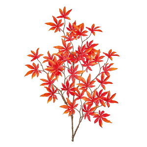 yԁzMAGIQ/H݂ #9 OR/RD IWbh/FG004884-009y01z ԁiA[eBtBVt[j Ԏ} ~WEC`E