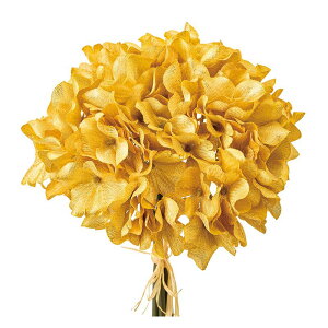 yԁzMAGIQ/VA[nChWAoh #4 YE/GO CG[S[h/FX000320-004y01z ԁiA[eBtBVt[j  ԍށusv izԁj