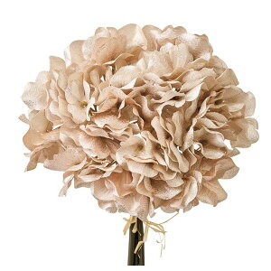 yԁzMAGIQ/VA[nChWAoh #6 PEACH s[`/FX000320-006y01z ԁiA[eBtBVt[j  ԍށusv izԁj