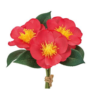 yԁzMAGIQ/փsbN #3 RED bh/FJ003836-003y01z ԁiA[eBtBVt[j  ԍށusv coLiցj