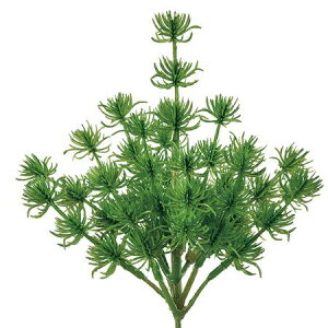 yԁzMAGIQ/~jpCsbN GREEN O[/FG004920y01z ԁiA[eBtBVt[j ԎAtFCNt[c }cJTEpC