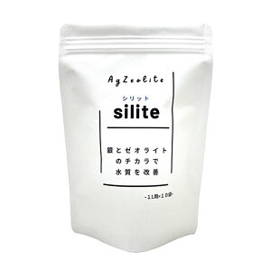 PENxێ siliteiVbgj 1LpsDzܓi10܁j/GS001352y01z ԎށEt[Xg ؉ԉ܁Eh{ ̑؉ԉh{