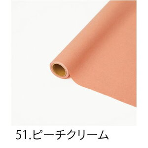 HOSHINO/p NOD51 s[`N[ 65x15/336431y07z bsOpi A bsOy[p[() aEN[v