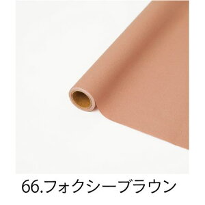 HOSHINO/p NOD66 tHNV[uE 65x15/336446y07z bsOpi A bsOy[p[() aEN[v