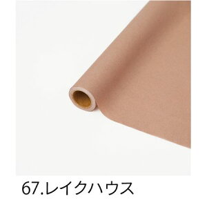 HOSHINO/p NOD67 CNnEX 65x15/336447y07z bsOpi A bsOy[p[() aEN[v