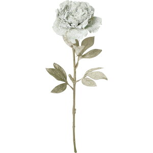 yԁzYDM/Xm[sIj[Xv[ O[/FS-6165GRy01z ԁiA[eBtBVt[j  ԍށusv VNNi䉖jE{^iOjEsIj[