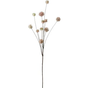 yԁzYDM/||AU~Xv[ [u/FG-5338MAVy01z ԁiA[eBtBVt[j  ԍށusv GW[