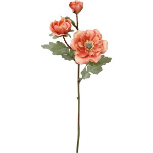 yԁzYDM/N[AllXv[ T[/FD-0142SAy01z ԁiA[eBtBVt[j  ԍށusv All