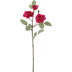 yԁzYDM/N[[YXv[ _[Nbh/FD-0145D/Ry01z ԁiA[eBtBVt[j  ԍށu͍sv o