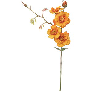 yԁzYDM/tNCh[YXv[ IW/FA-7477ORy01z ԁiA[eBtBVt[j  ԍށu͍sv o