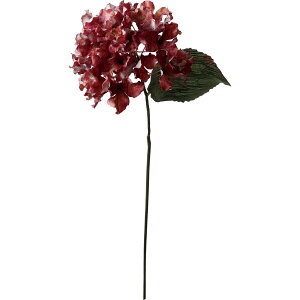 yԁzYDM/ZsAnChWA bh/FA-7479Ry01z ԁiA[eBtBVt[j  ԍށusv izԁj