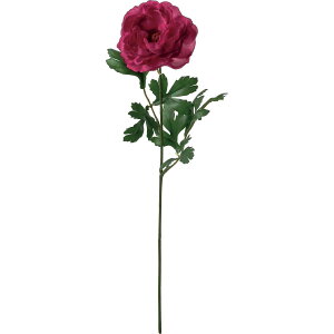 yԁzYDM/m[uiLX [u/FF-3095MAVy01z ԁiA[eBtBVt[j  ԍށusv iLX