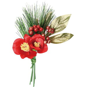 yԁzYDM/փ~bNXo` bh/FS-5454Ry01z ԁiA[eBtBVt[j  ԍށusv coLiցj