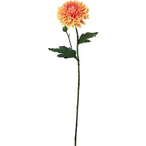 yԁzYDM/fR}Xv[ IW/FA-7482ORy01z ԁiA[eBtBVt[j  ԍށusv LNiejEs|}