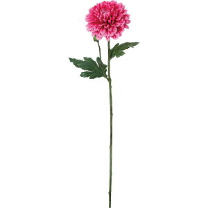 yԁzYDM/fR}Xv[ sN/FA-7482Py01z ԁiA[eBtBVt[j  ԍށusv LNiejEs|}