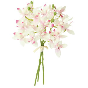 yԁzYDM/~jVrW[oh zCgsN/FB-2657W/Py01z ԁiA[eBtBVt[j  ԍށusv VrW[