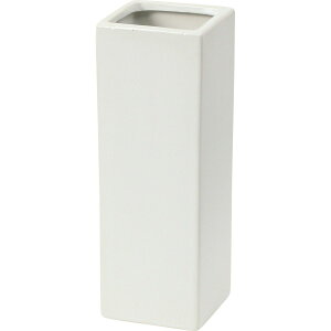 YDM/XNGA|bgH24cm W/RFB-476y01z ԊA[X ԊEԕr Ԋ