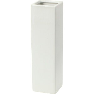 YDM/XNGA|bgH30cm W/RFB-478y01z ԊA[X ԊEԕr Ԋ