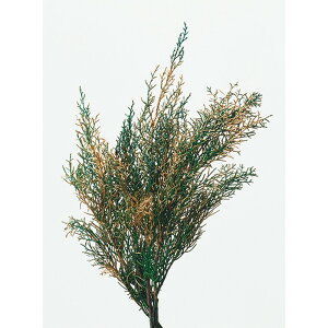 �y�v���U�[�u�h�z��n�_��/�u���[�A�C�X ��100g �E�H�b�V���S�[���h/01260-709�y01�z �v���U�[�u�h�t�����[ �v���U�[�u�h�O���[�� �t��