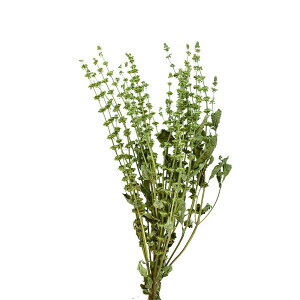 �y�h���C�z�R�A�g���[�f�B���O/�o�W���V�[�h ��25g �i�`������/17423�y10�z[10��] �h���C�t�����[ �h���C�t�� �t���ԍ� �n���h���C�h�ޗ� �N���t�g�f�� �� �H ������ ������ �N���X�}�X �n���E
