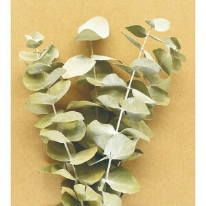 yhCzRAg[fBO/D|layer [JEVo[K i`/81024y10z[2] hCt[ hCt t