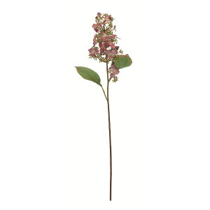 yԁzAXJ/nChWA o[KfBO[/A-35000-15Gy01z ԁiA[eBtBVt[j  ԍށusv izԁj