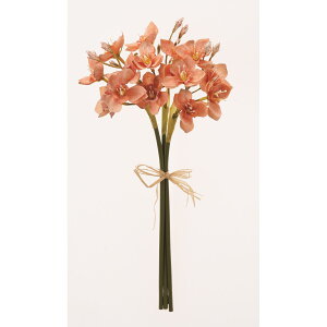 yԁzAXJ/~jt[o`(13{) T[/A-34940-14y01z ԁiA[eBtBVt[j  ԍށu͍sv ̑u͍svԉԍ