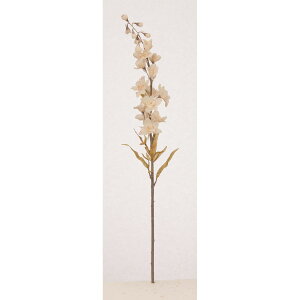 yԁzAXJ/ftBjE x[W/A-34963-8y01z ԁiA[eBtBVt[j  ԍށusv ftBj[