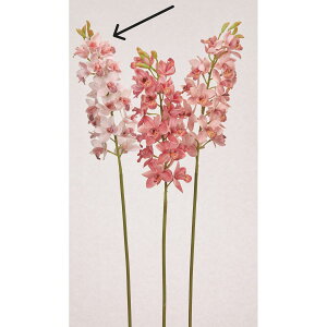 yԁzAXJ/VrW[×21 ڂ×4 sNzCg/A-34931-3Wy01z ԁiA[eBtBVt[j  ԍށusv VrW[