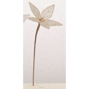 yԁzAXJ/|CZ`A Vy/AX60628-27y01z ԁiA[eBtBVt[j  ԍށu͍sv |CZ`A