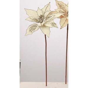 yԁzAXJ/|CZ`A N[zCg/AX60620-11y01z ԁiA[eBtBVt[j  ԍށu͍sv |CZ`A