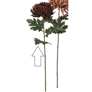 yԁzAXJ/} o[KfB/A-34958-15y01z ԁiA[eBtBVt[j  ԍށusv LNiejEs|}