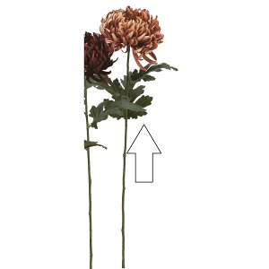 yԁzAXJ/} uES[h/A-34958-28Fy01z ԁiA[eBtBVt[j  ԍށusv LNiejEs|}