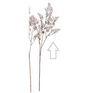 �y���ԁz�A�X�J/�O���b�^�[�����j�E�� ���C��/A-73440-15A�y01�z ���ԁi�A�[�e�B�t�B�V�����t�����[�j ���ԗt���A�t�F�C�N�O���[�� ���̑��̑��ԗt���E�t�F�C�N�O���[��